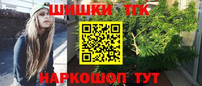 СК Обь