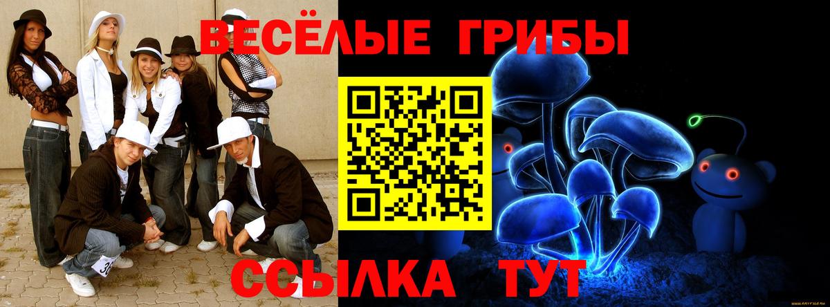 Галлюциногенные грибы Psilocybe  Вход с VPN  Псилоцибиновые грибы GOLDEN TEACHER  Сорочинск 